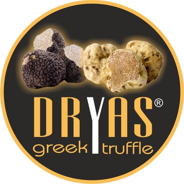 Dryas